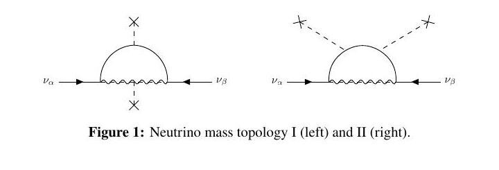 Two loop diagrams labelled topology I and II, each with two neutrino legs and dashed lines ending in crosses
