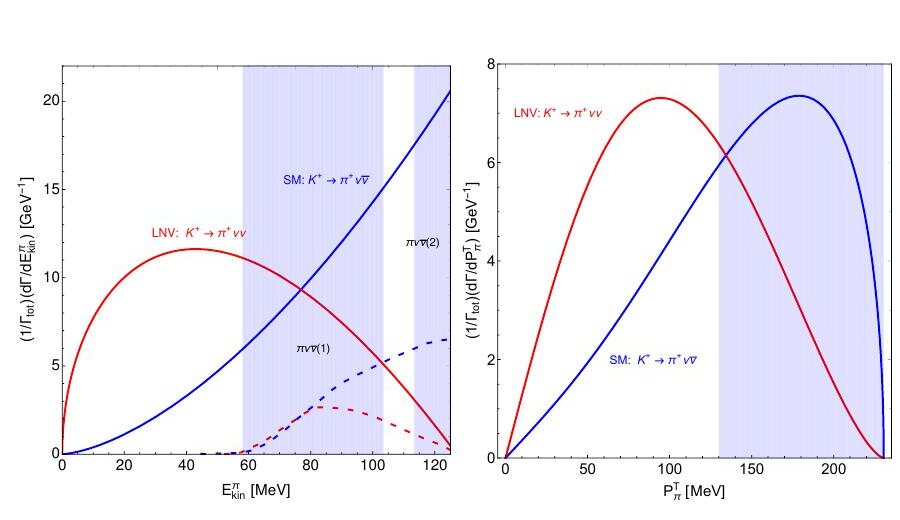 Two panels: normalized pion kinetic energy distribution for the E949 experiment and transverse pion momentum distribution for the KOTO experiment, for Standard Model and LNV decays